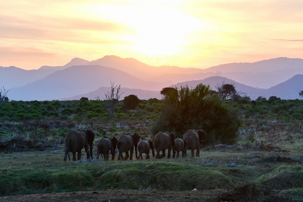 Tsavo East National Park